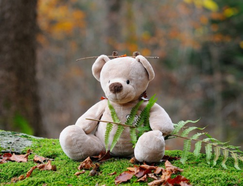 Het Klokhuis over scheiding vanaf 19 januari 2017